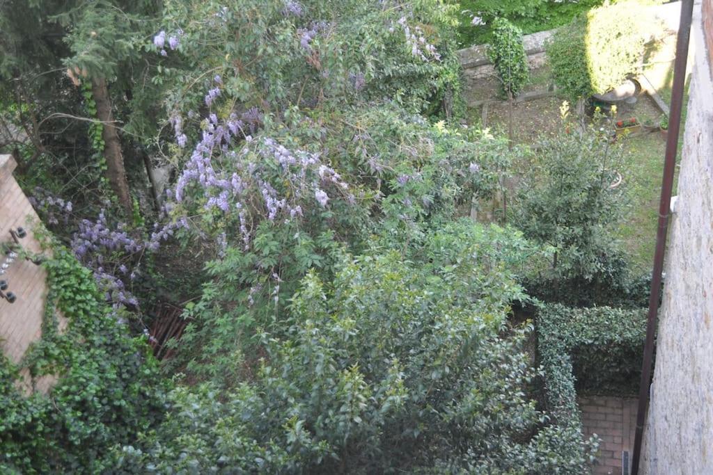 Appartement Il Profumo Del Lauro à Pérouse Extérieur photo