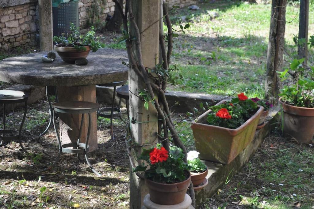 Appartement Il Profumo Del Lauro à Pérouse Extérieur photo